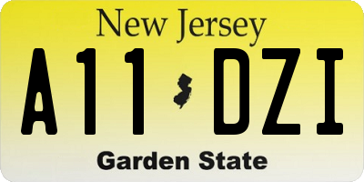 NJ license plate A11DZI