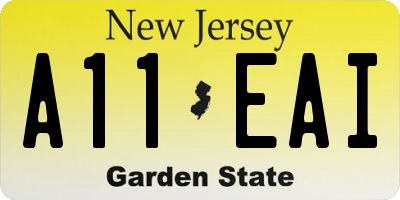 NJ license plate A11EAI