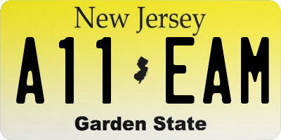 NJ license plate A11EAM