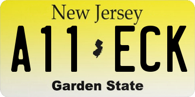 NJ license plate A11ECK