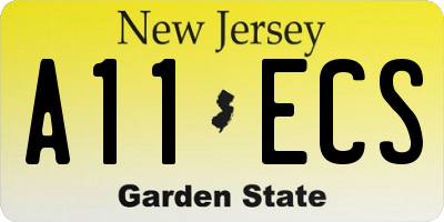 NJ license plate A11ECS