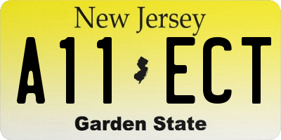 NJ license plate A11ECT