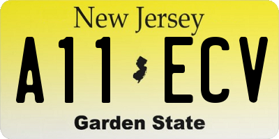 NJ license plate A11ECV