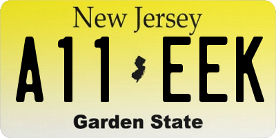 NJ license plate A11EEK