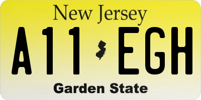 NJ license plate A11EGH