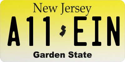 NJ license plate A11EIN