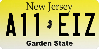 NJ license plate A11EIZ