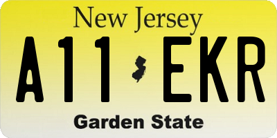 NJ license plate A11EKR