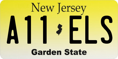 NJ license plate A11ELS