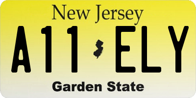 NJ license plate A11ELY
