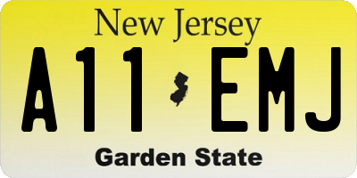 NJ license plate A11EMJ