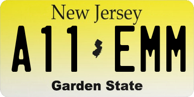 NJ license plate A11EMM