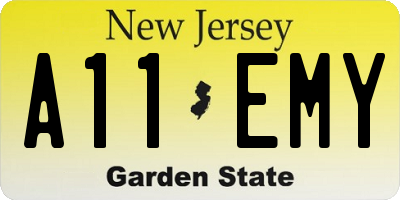 NJ license plate A11EMY