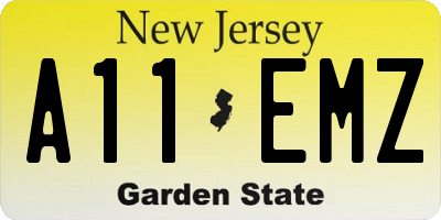 NJ license plate A11EMZ
