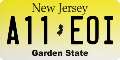 NJ license plate A11EOI