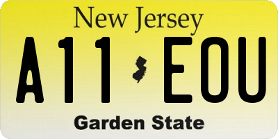 NJ license plate A11EOU