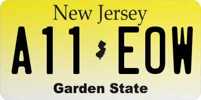 NJ license plate A11EOW