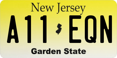 NJ license plate A11EQN