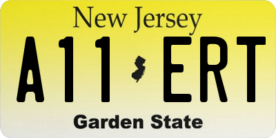 NJ license plate A11ERT