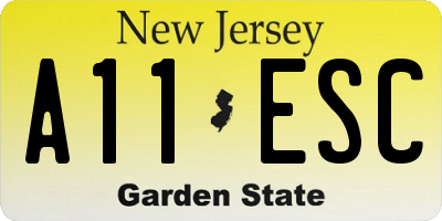 NJ license plate A11ESC