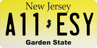 NJ license plate A11ESY
