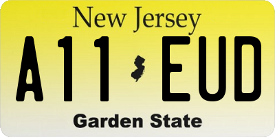 NJ license plate A11EUD