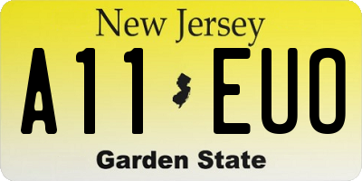 NJ license plate A11EUO
