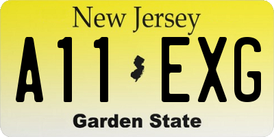 NJ license plate A11EXG