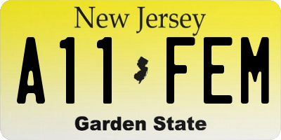 NJ license plate A11FEM