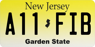 NJ license plate A11FIB