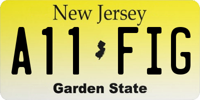 NJ license plate A11FIG
