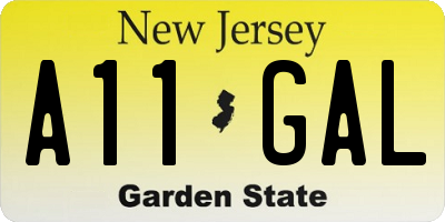 NJ license plate A11GAL