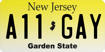 NJ license plate A11GAY