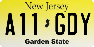NJ license plate A11GDY