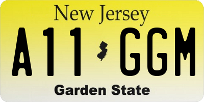 NJ license plate A11GGM