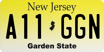 NJ license plate A11GGN