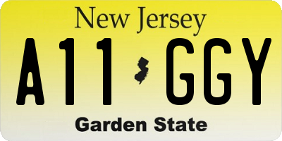 NJ license plate A11GGY