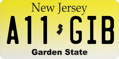 NJ license plate A11GIB