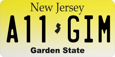 NJ license plate A11GIM