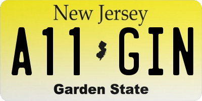 NJ license plate A11GIN