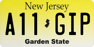 NJ license plate A11GIP