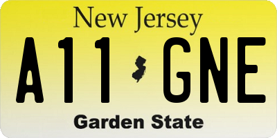 NJ license plate A11GNE