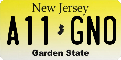 NJ license plate A11GNO