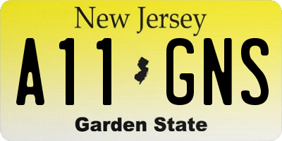 NJ license plate A11GNS