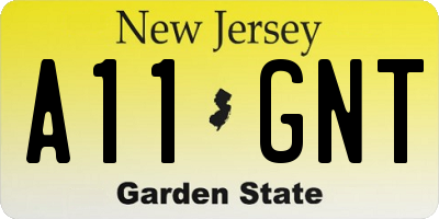 NJ license plate A11GNT