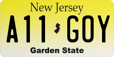 NJ license plate A11GOY