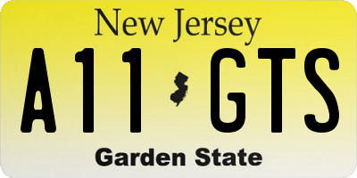 NJ license plate A11GTS