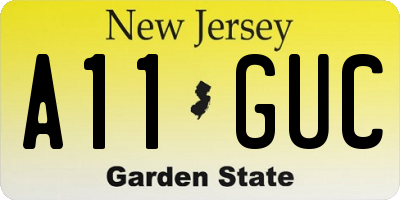 NJ license plate A11GUC