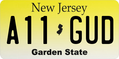 NJ license plate A11GUD