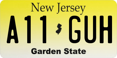 NJ license plate A11GUH